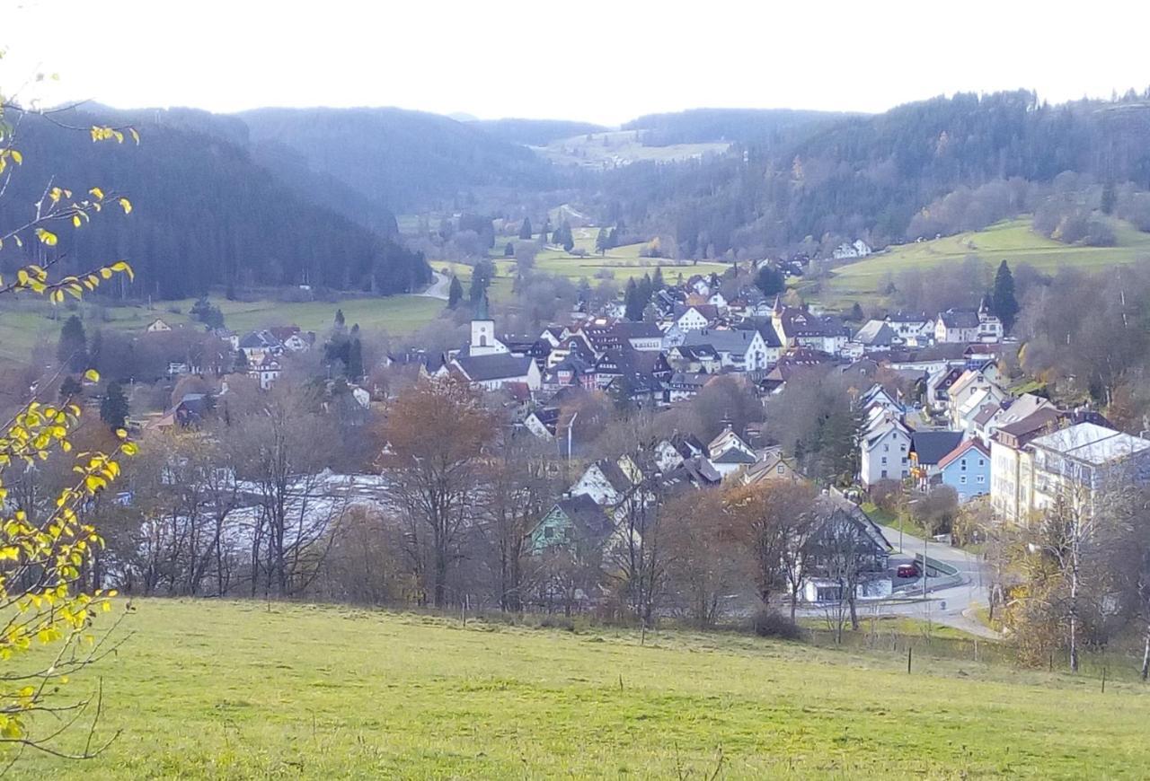 Ferienwohnung Waldrast Lenzkirch Exterior photo